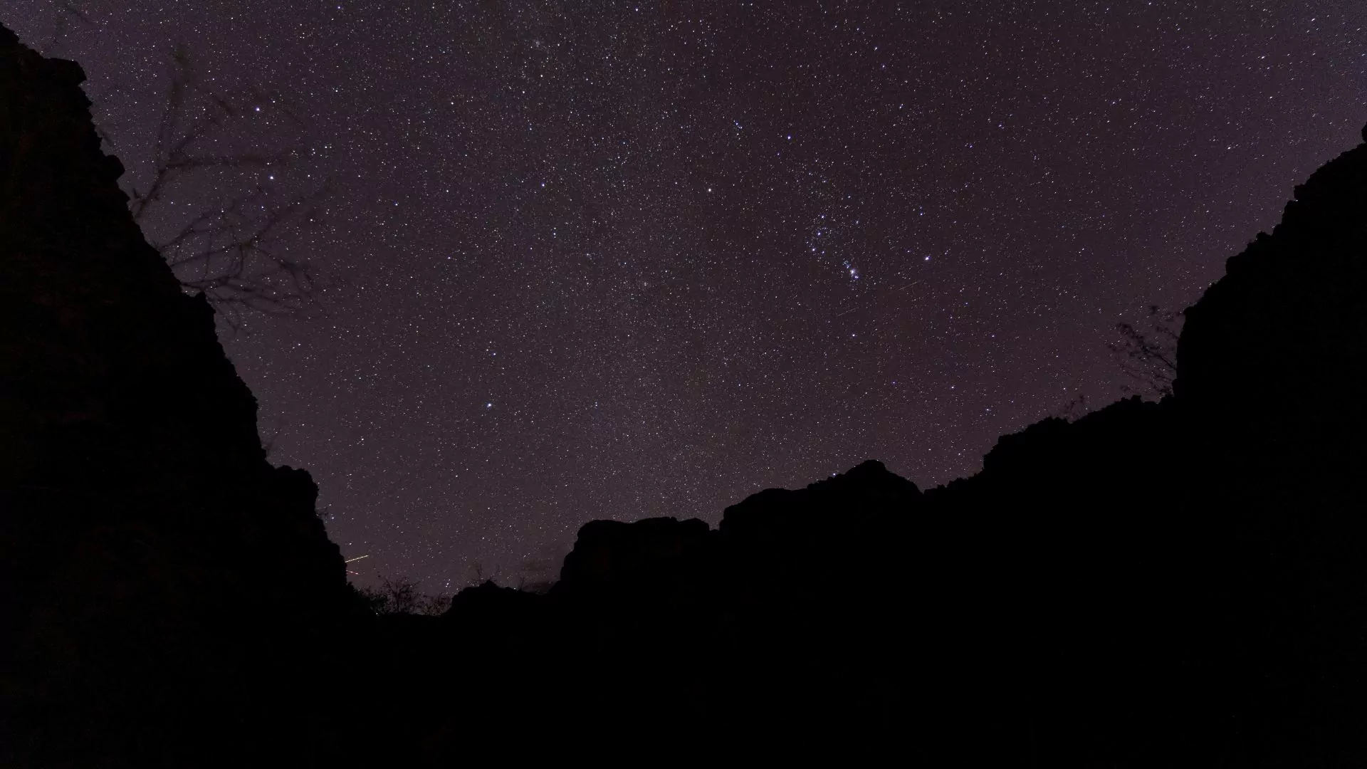 a stary night sky stretches above the canyon rim