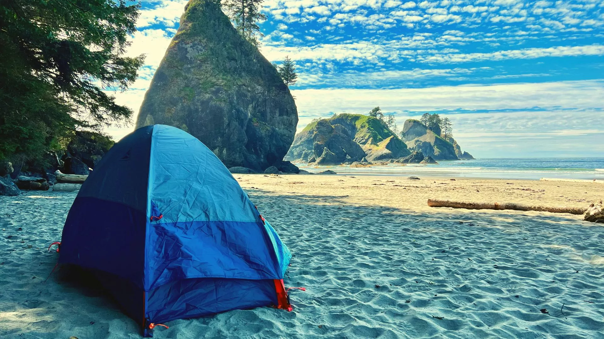 Tent sits on sandy beach while large fern-covered boulders jut out of the ocean behind
