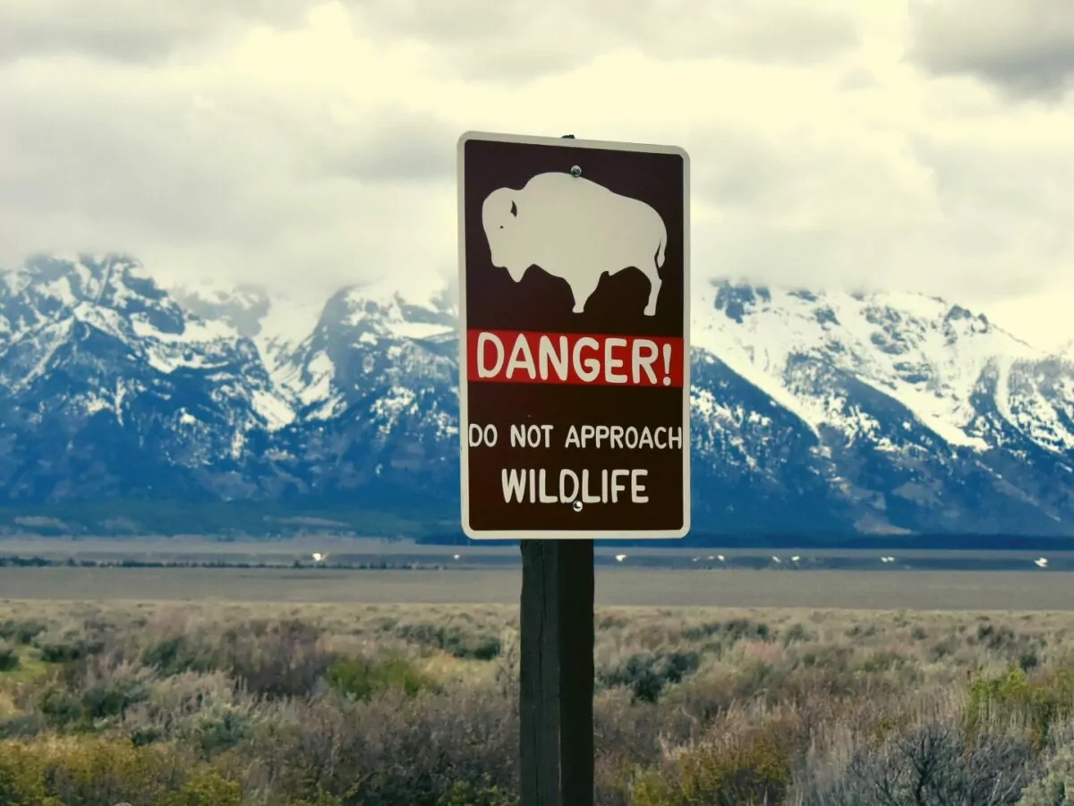 National Park sign warns of dangerous wildlife