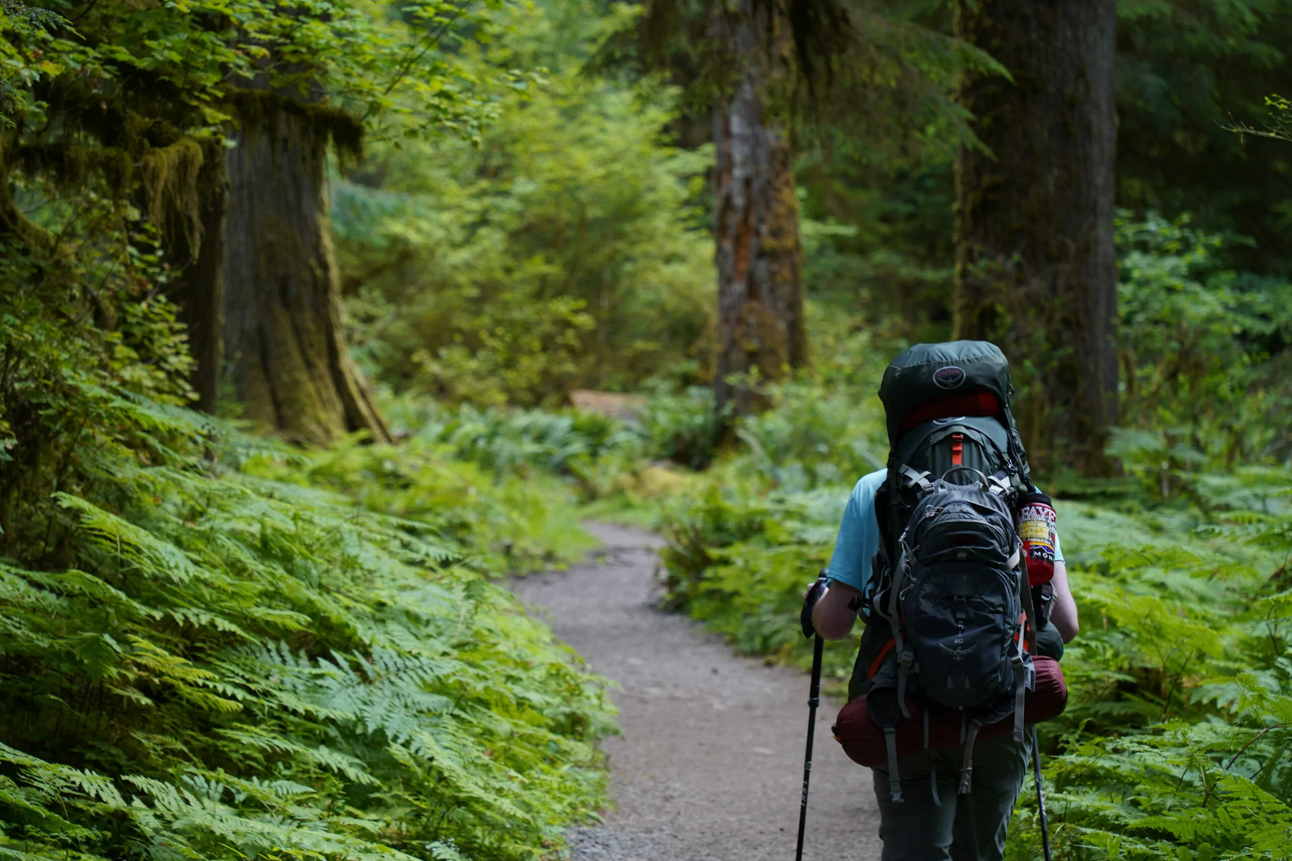 Outdoor adventure jobs, backpacking guide