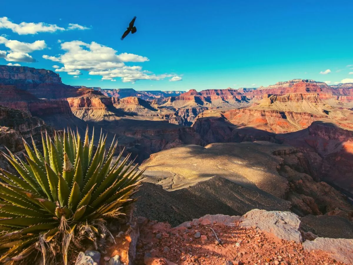Grand canyon national park rim view