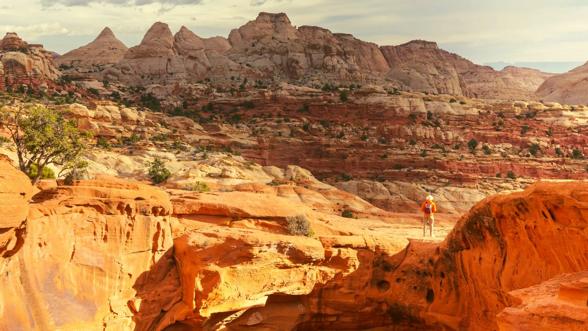 Capitol Reef National Park Utah