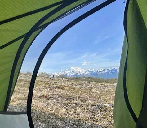 View of Denali Peak from K'esugi Ridge in Denali State Park, Alaska