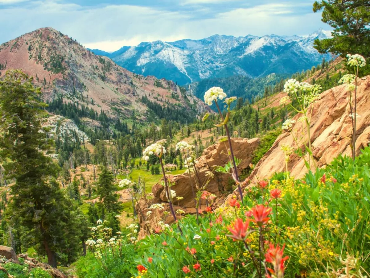 Mountain view of California's Trinity Alps wilderness