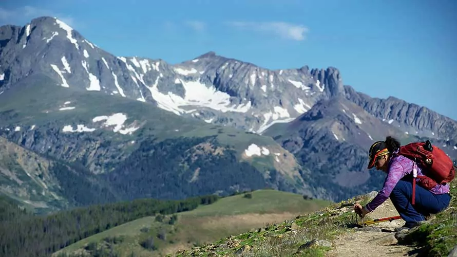 Wildland Trekking guest inspecting wildflowers in Rocky Mountain National Park