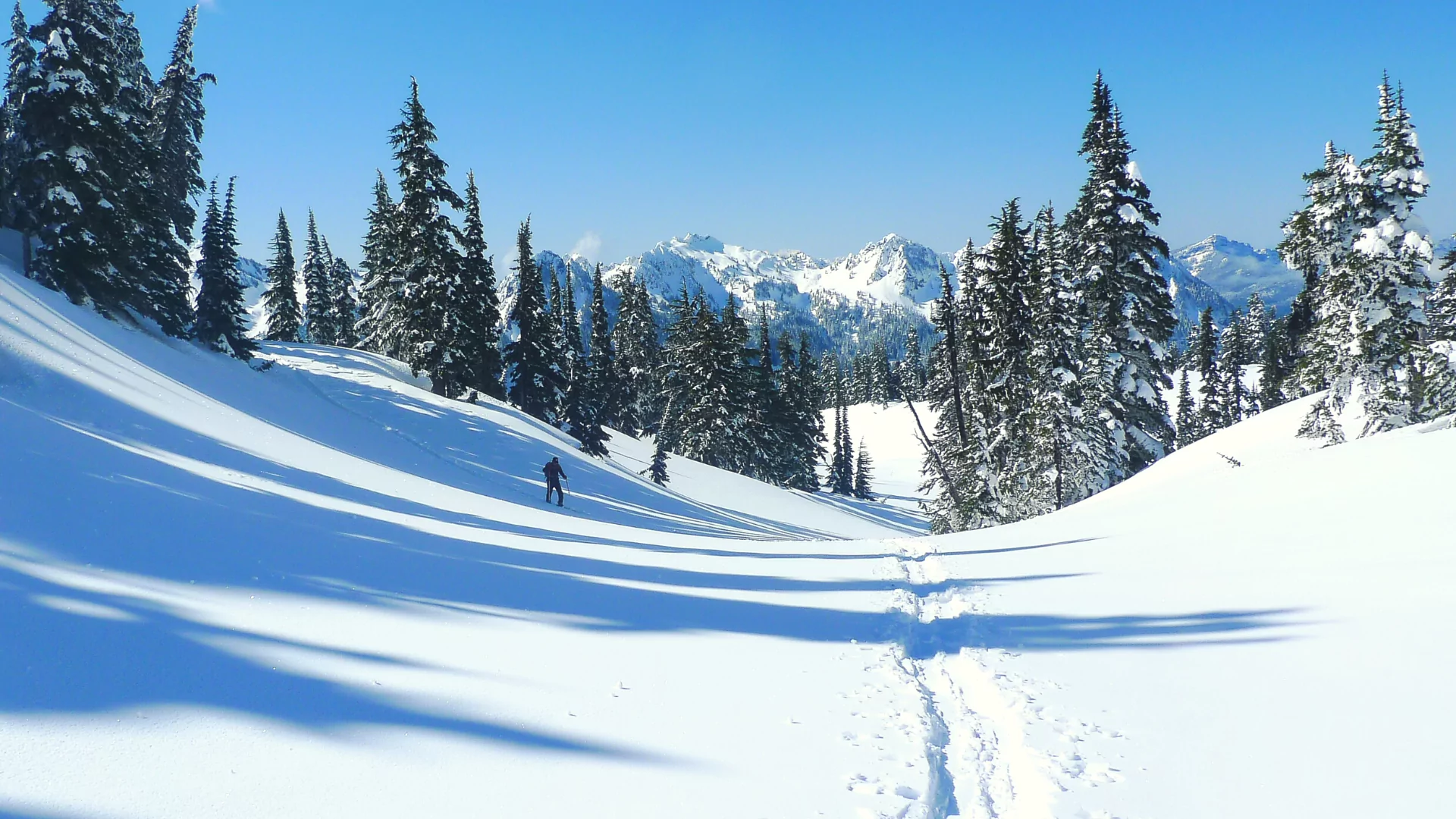 Mt Rainier snowshoe hiking trails in Washington winter