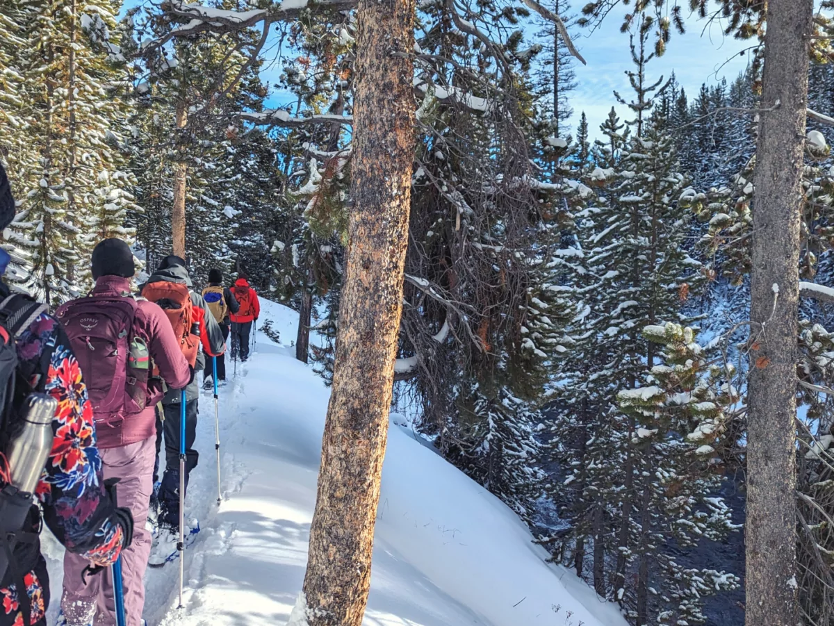 A group is snowshoe hiking winter trails