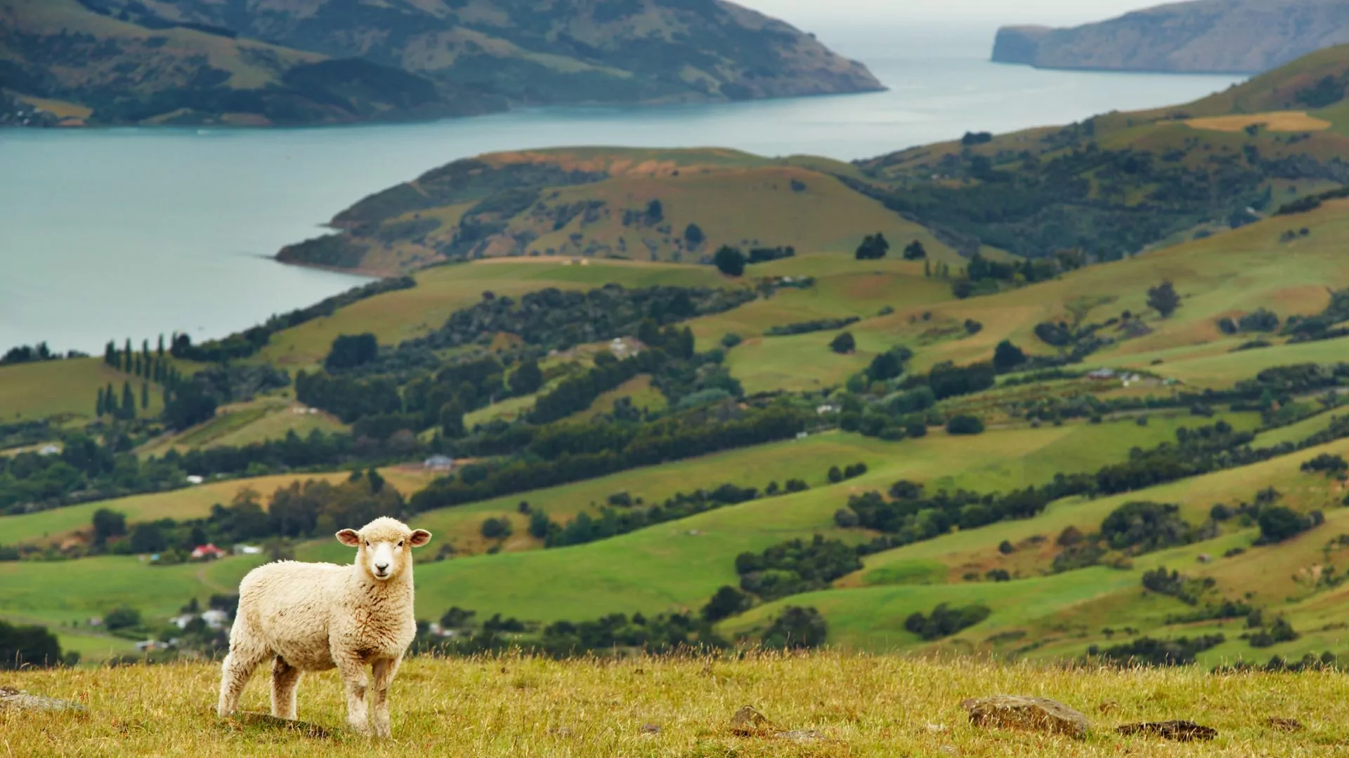New Zealand another one of the worlds best islands for vacation