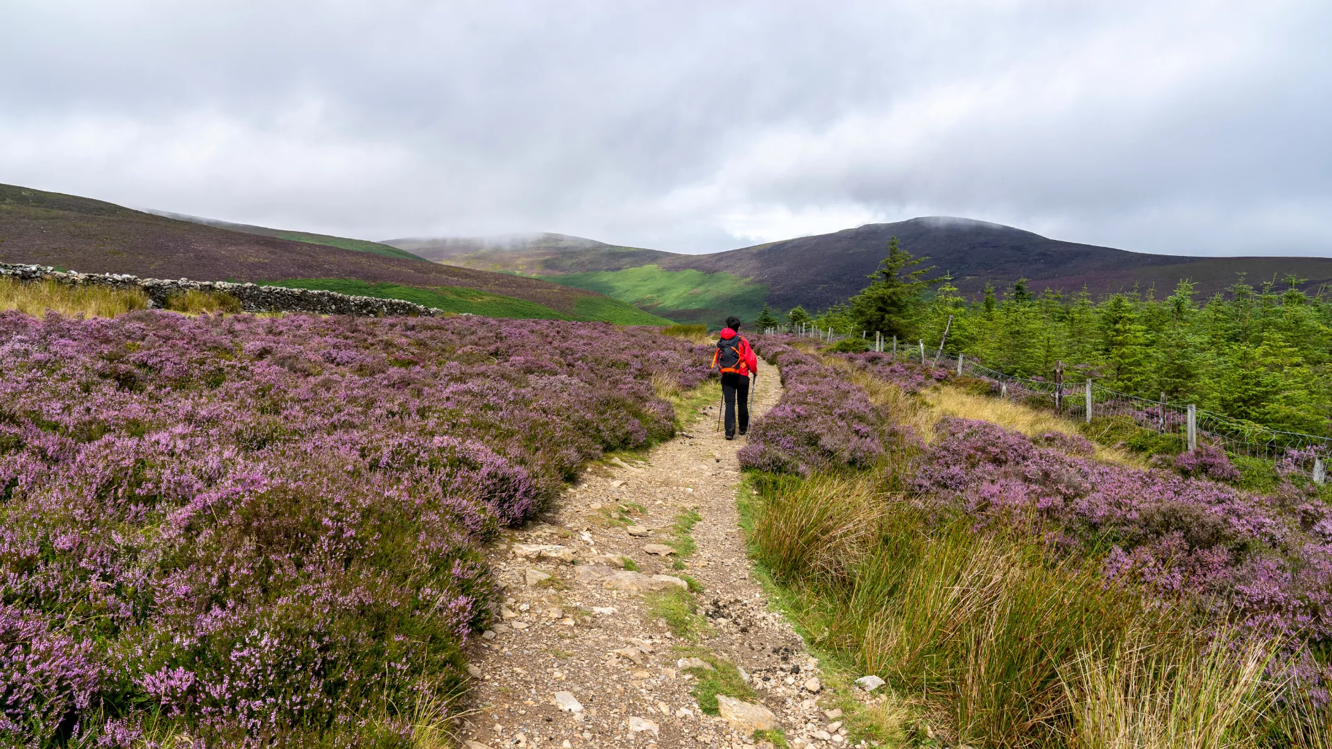 The Wicklow Way hiking trail in Ireland