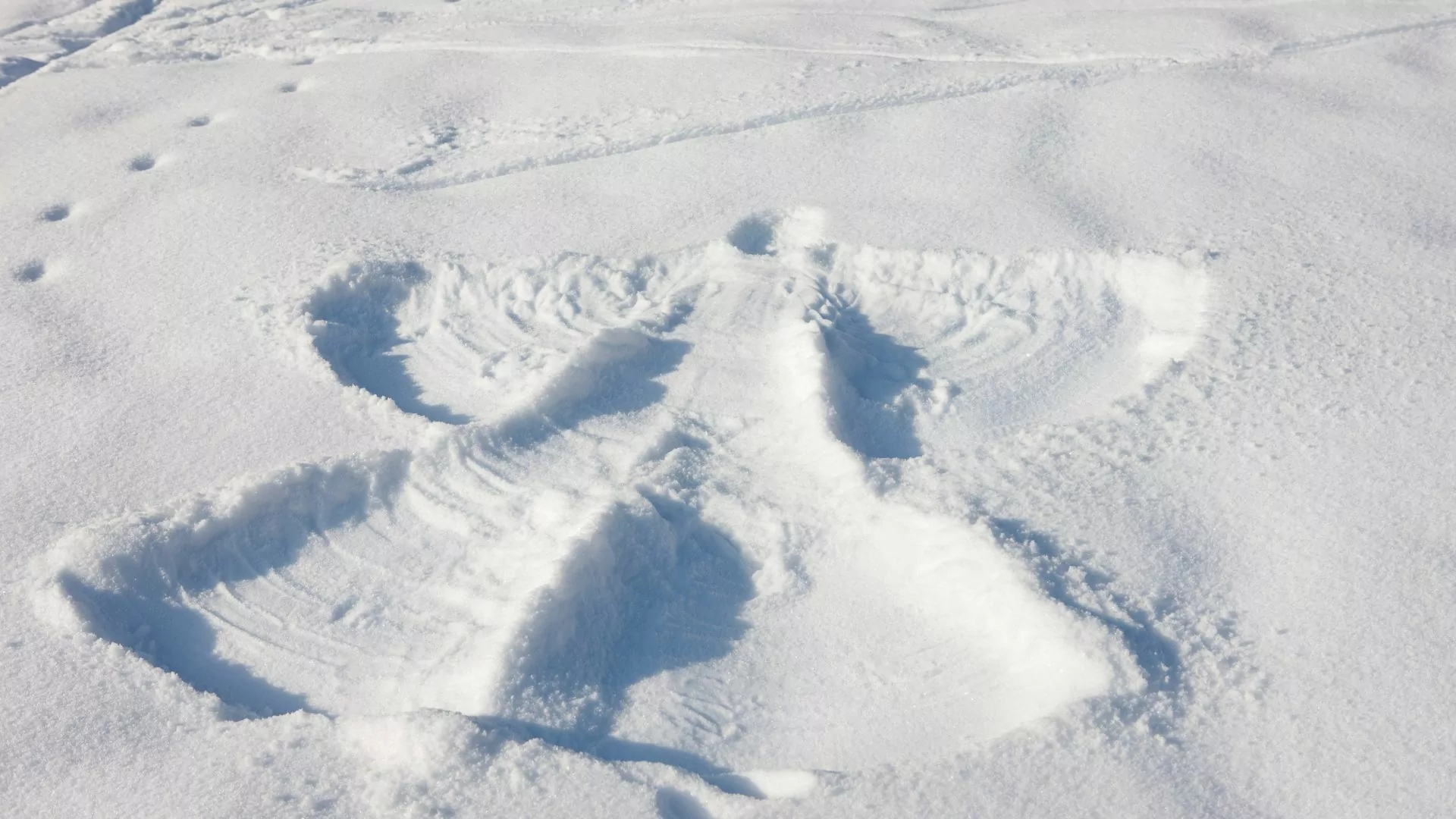 Snow angel 
