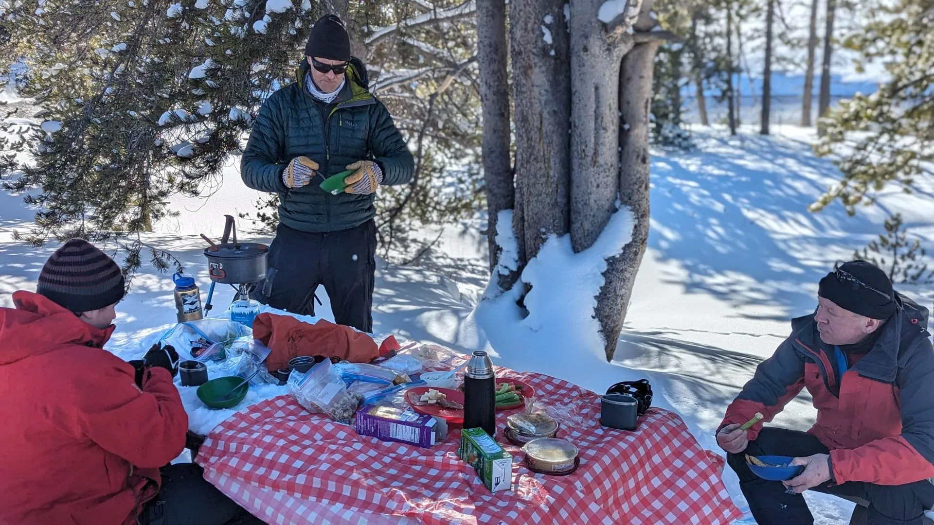 Winter picnic in the snow