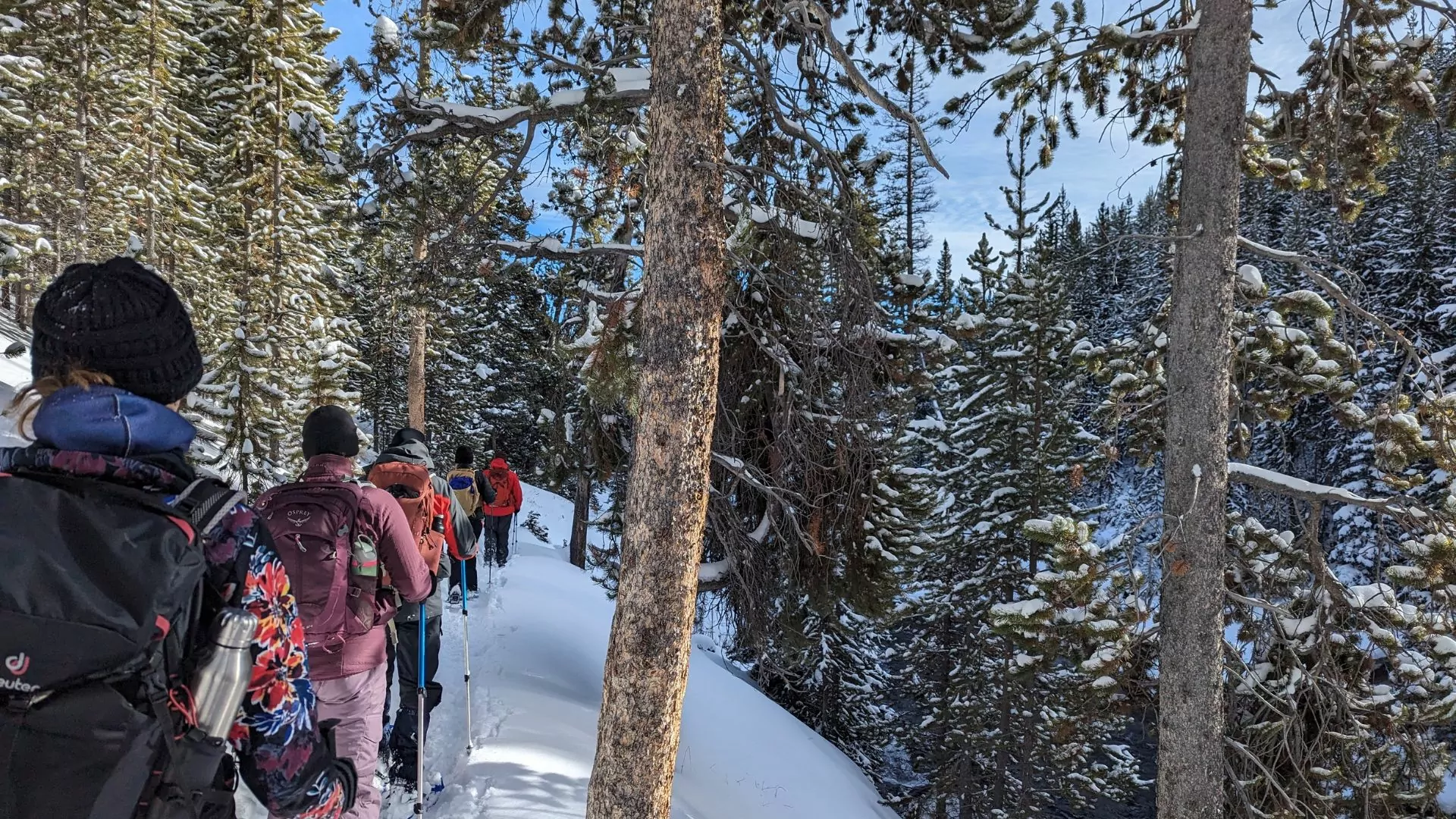 Winter hikers snowshoe on a snowy trail in the woods
