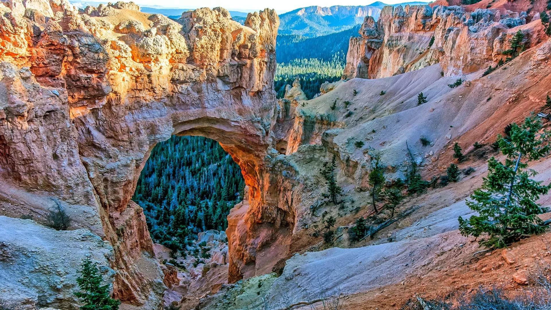 Bryce canyon natural bridge red rock formation