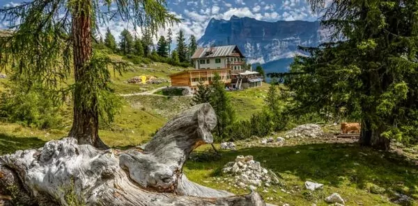 Backcountry hut in the subalpine zone in the Dolomites