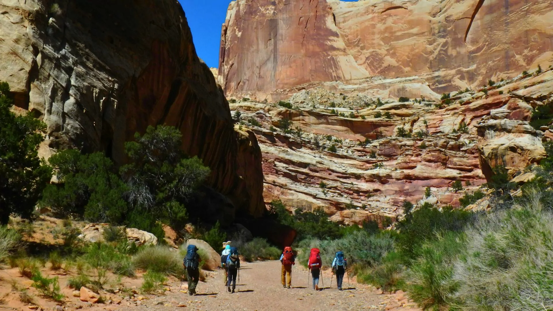 Five people backpack in capitol reef national park