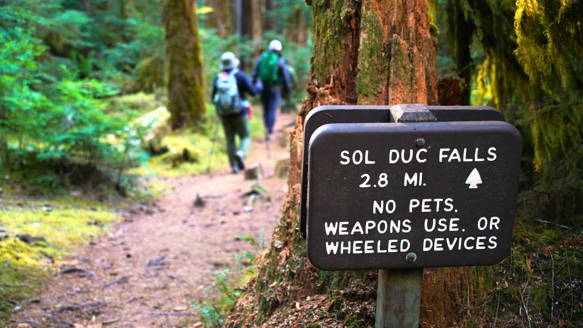 Two hikers pass a trail sign in the woods