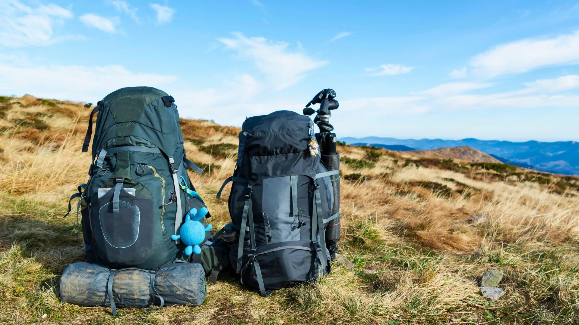 Two backpacks sit next to each other in a field