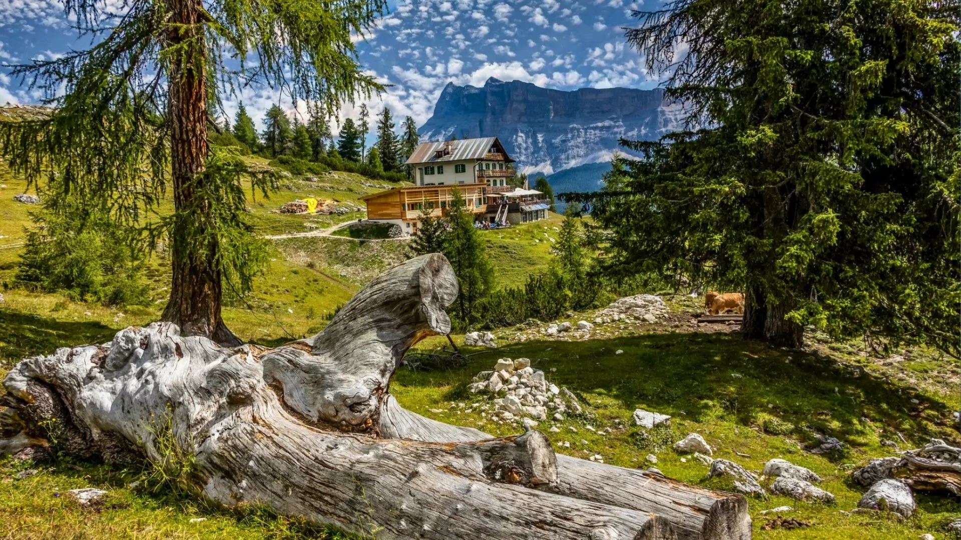 A mountain hut sits on a grassy hillside in the Dolomites