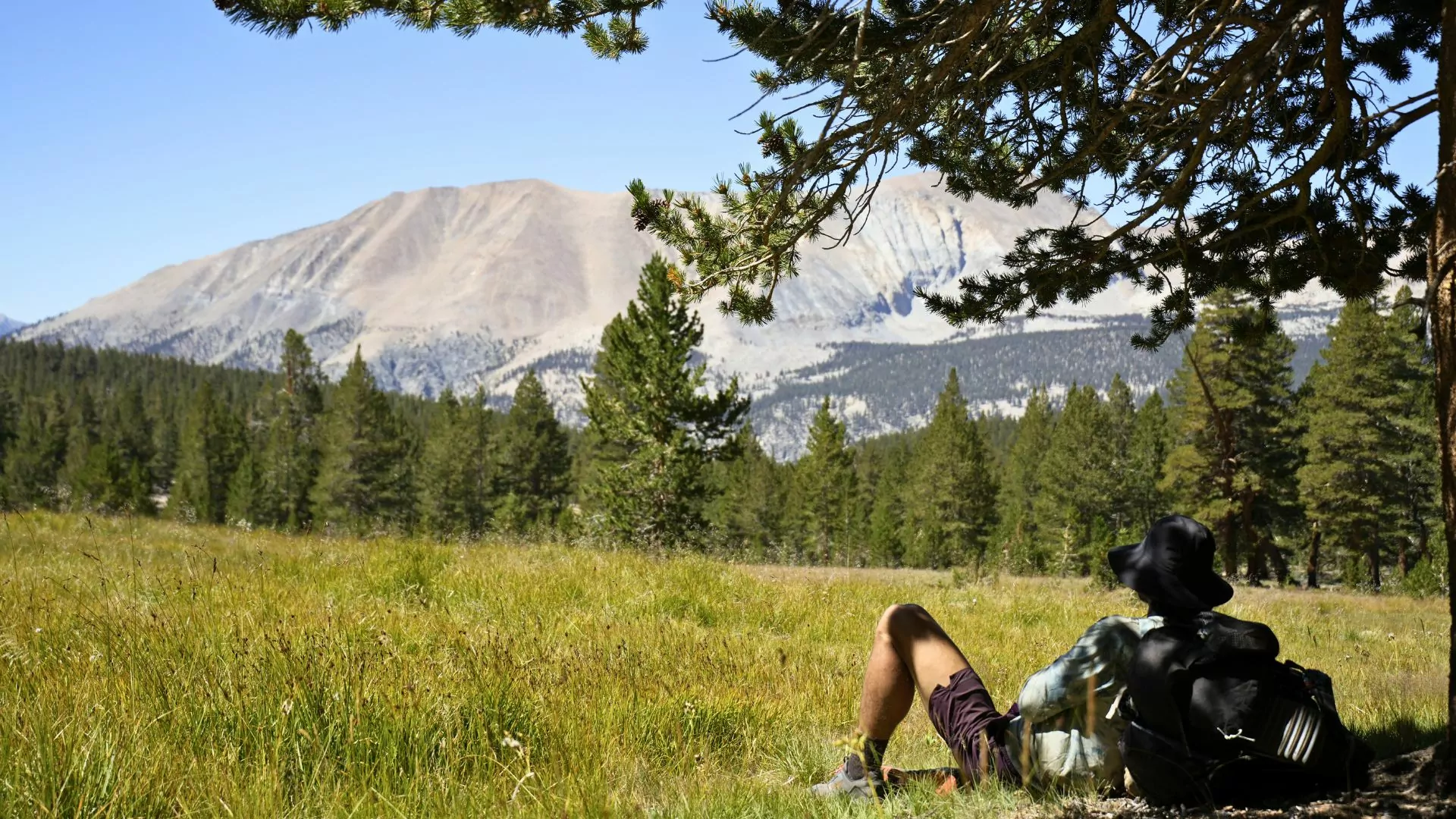 A hiker rests under a tree in the high Sierra