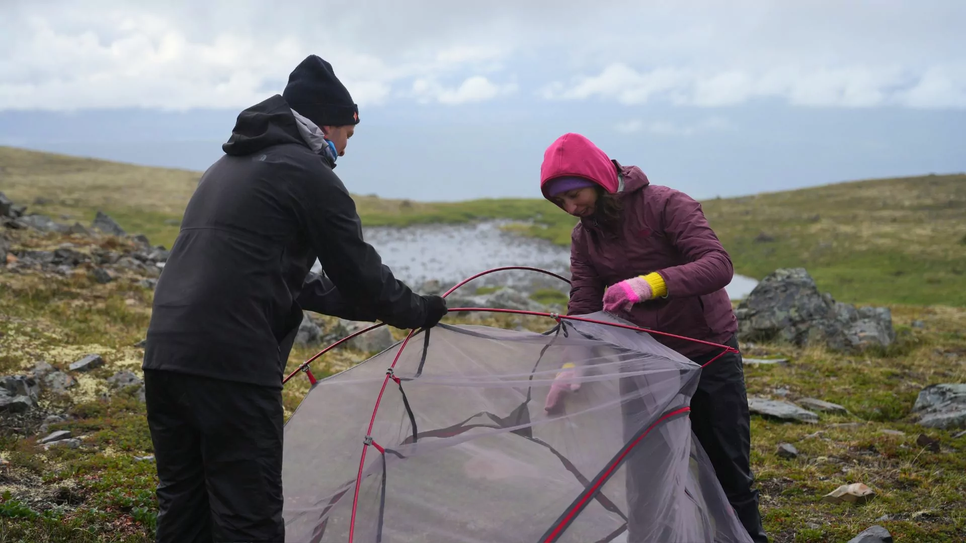 Two people set up a tent together
