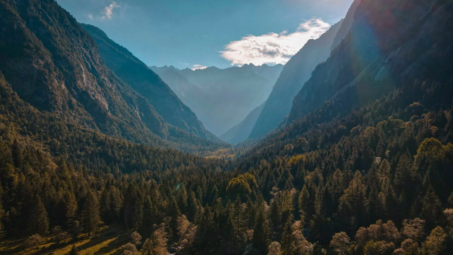Forested mountain landscape