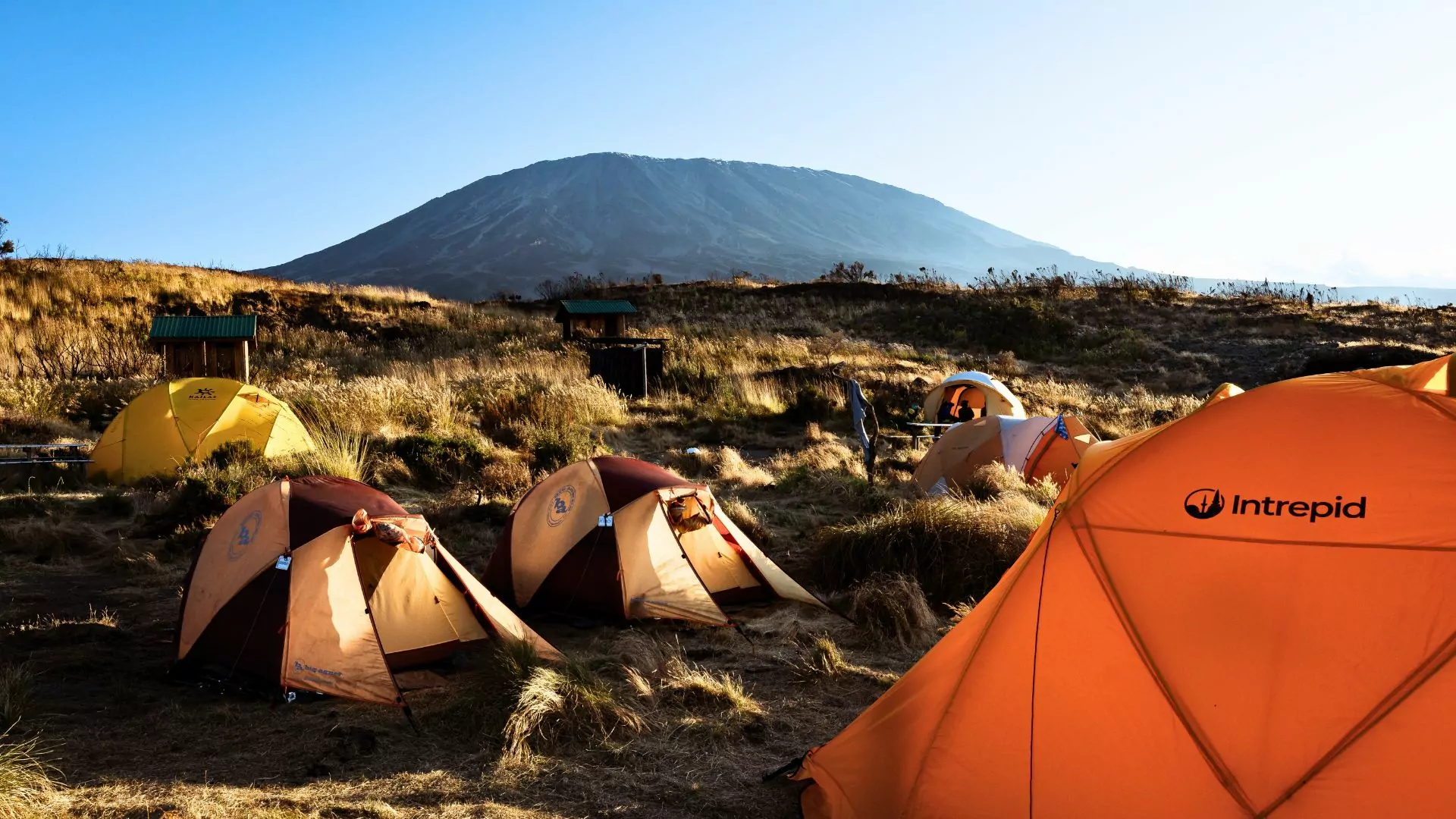 Tents set up on the way to Mt Kilimanjaro