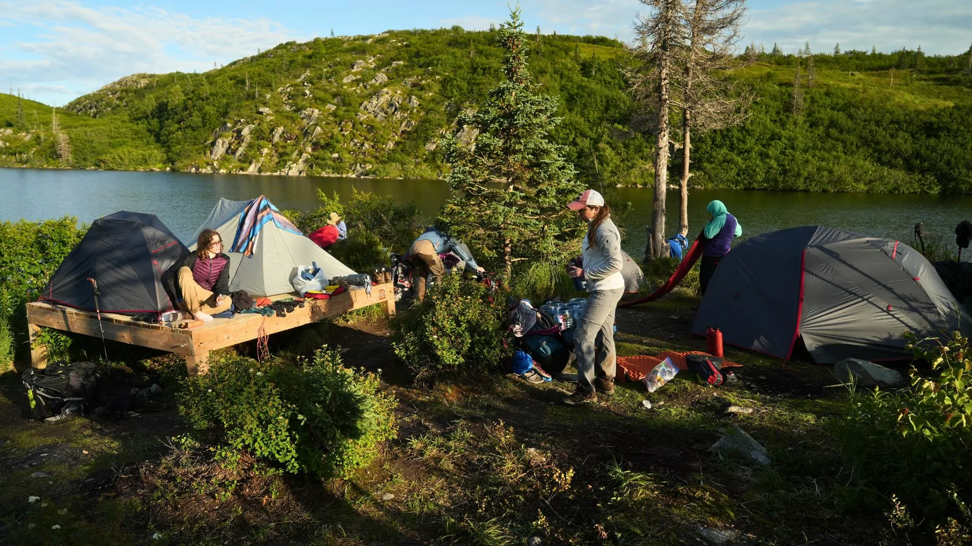 Camping in bear country