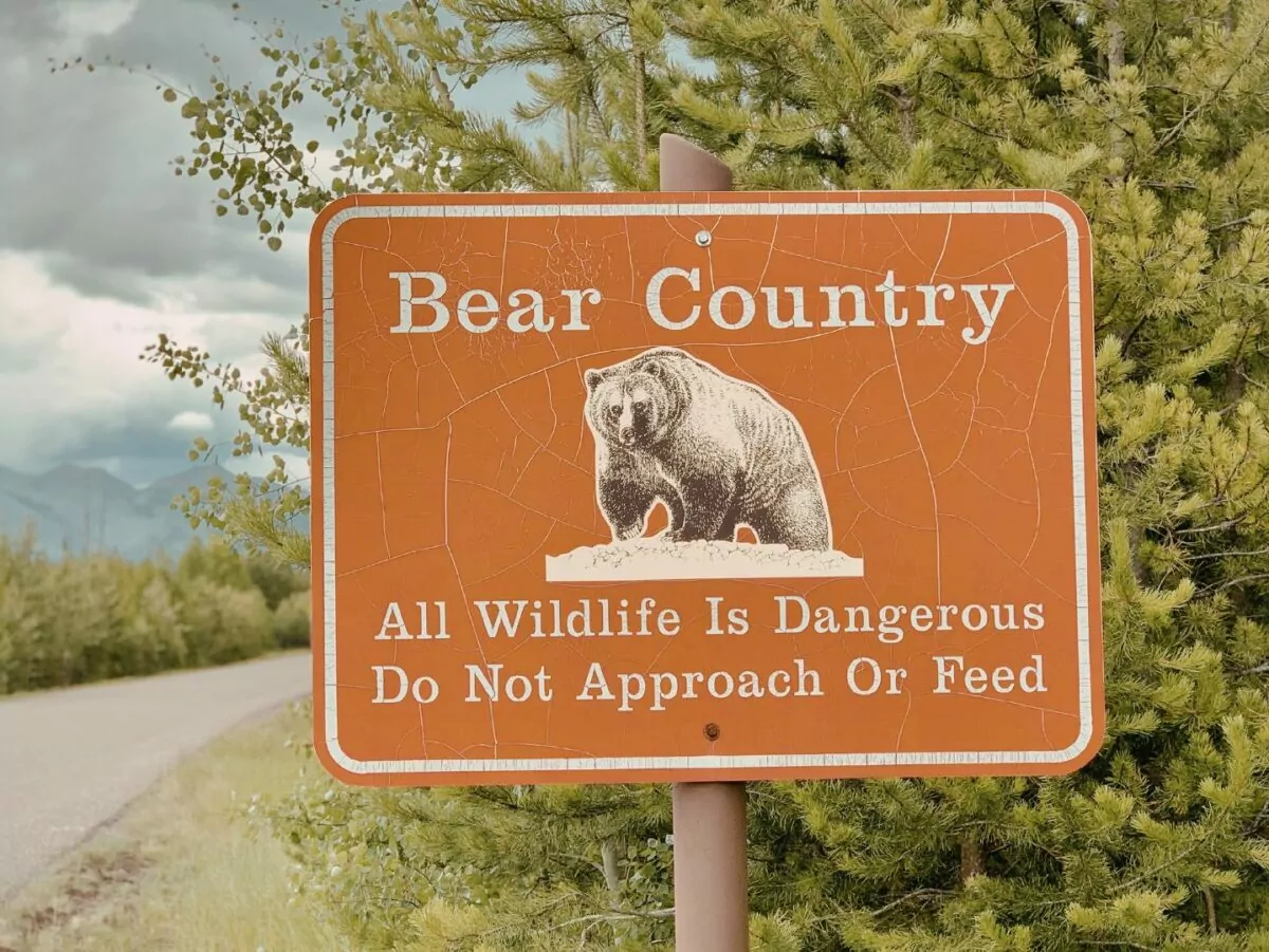 Bear country