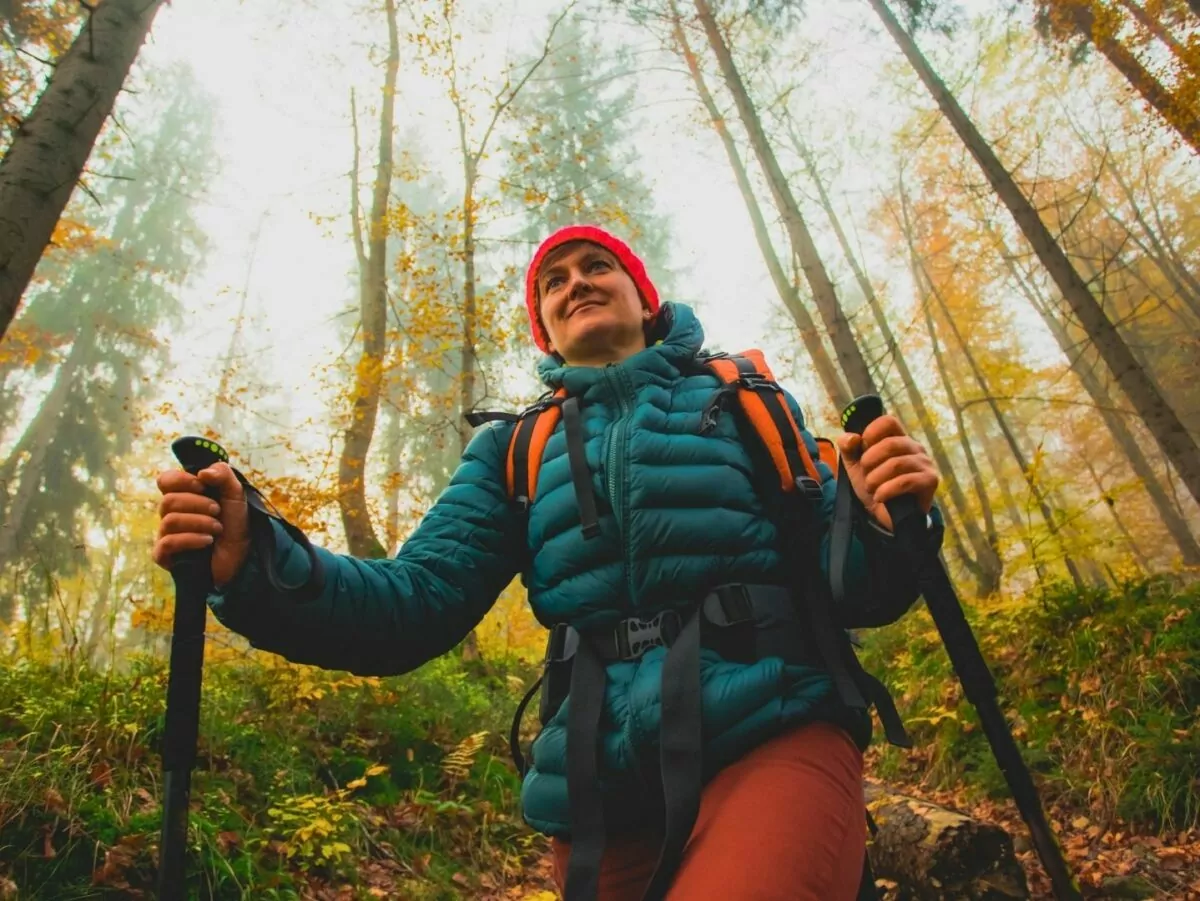 Hiker in the forest in fall