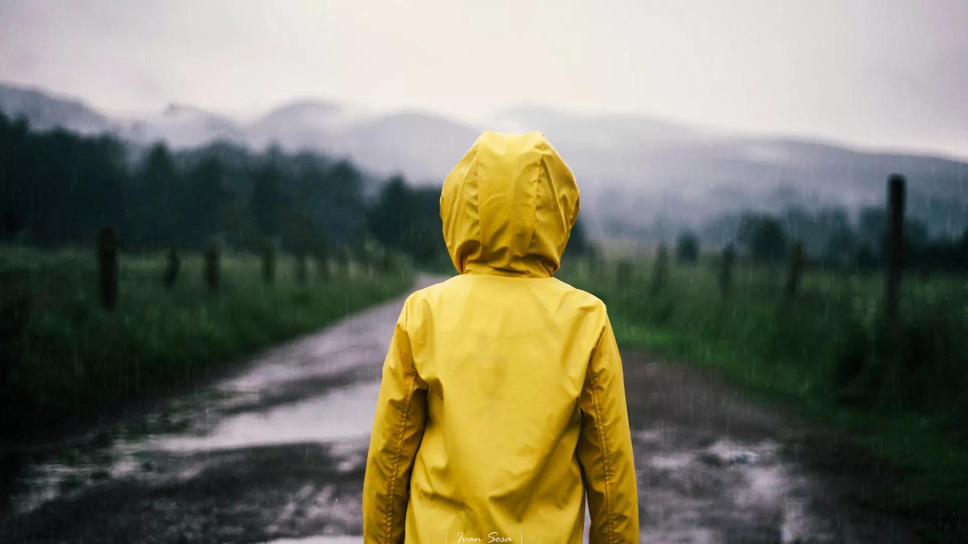 A hiker in a raincoat looks out at wet mountains in the distance