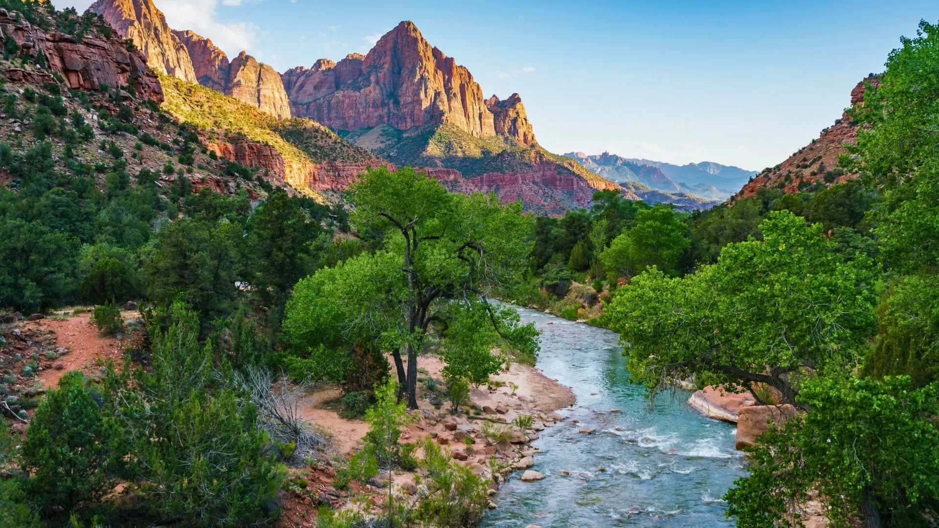Green trees line the Virgin River in Zion National Park in summer