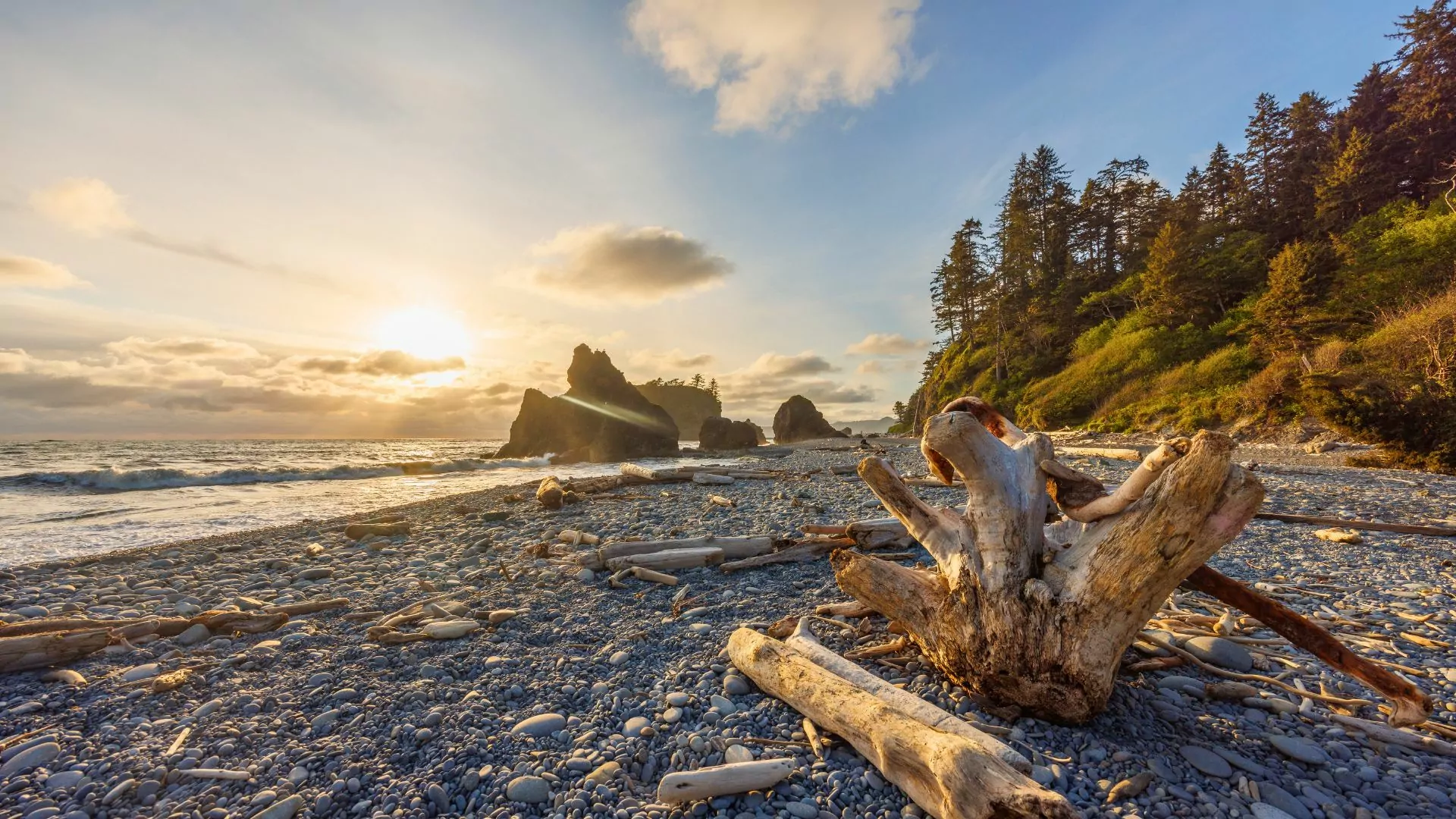 Olympic Coast washington state