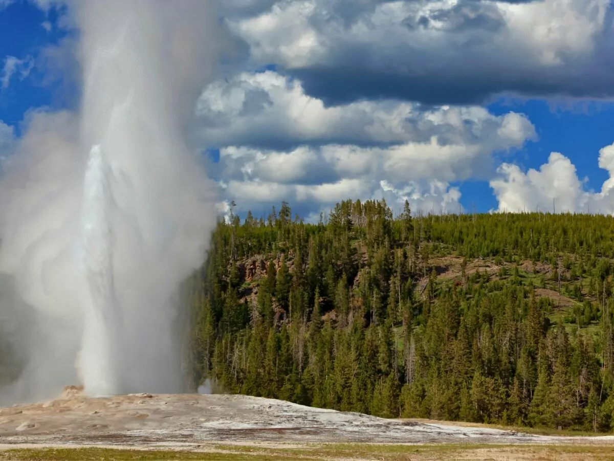 Geyser in yellowstone