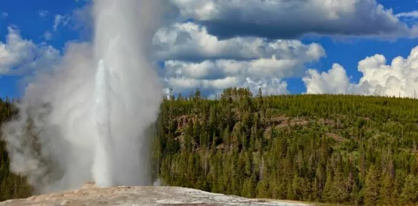 Geyser in yellowstone