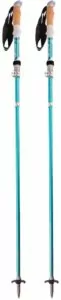 Mountainsmith poles