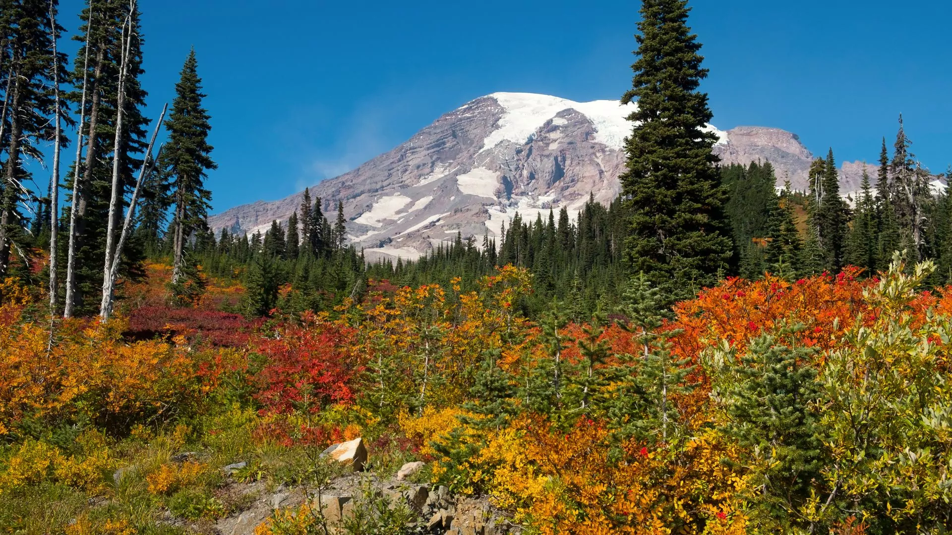 Mount Rainier in the Fall