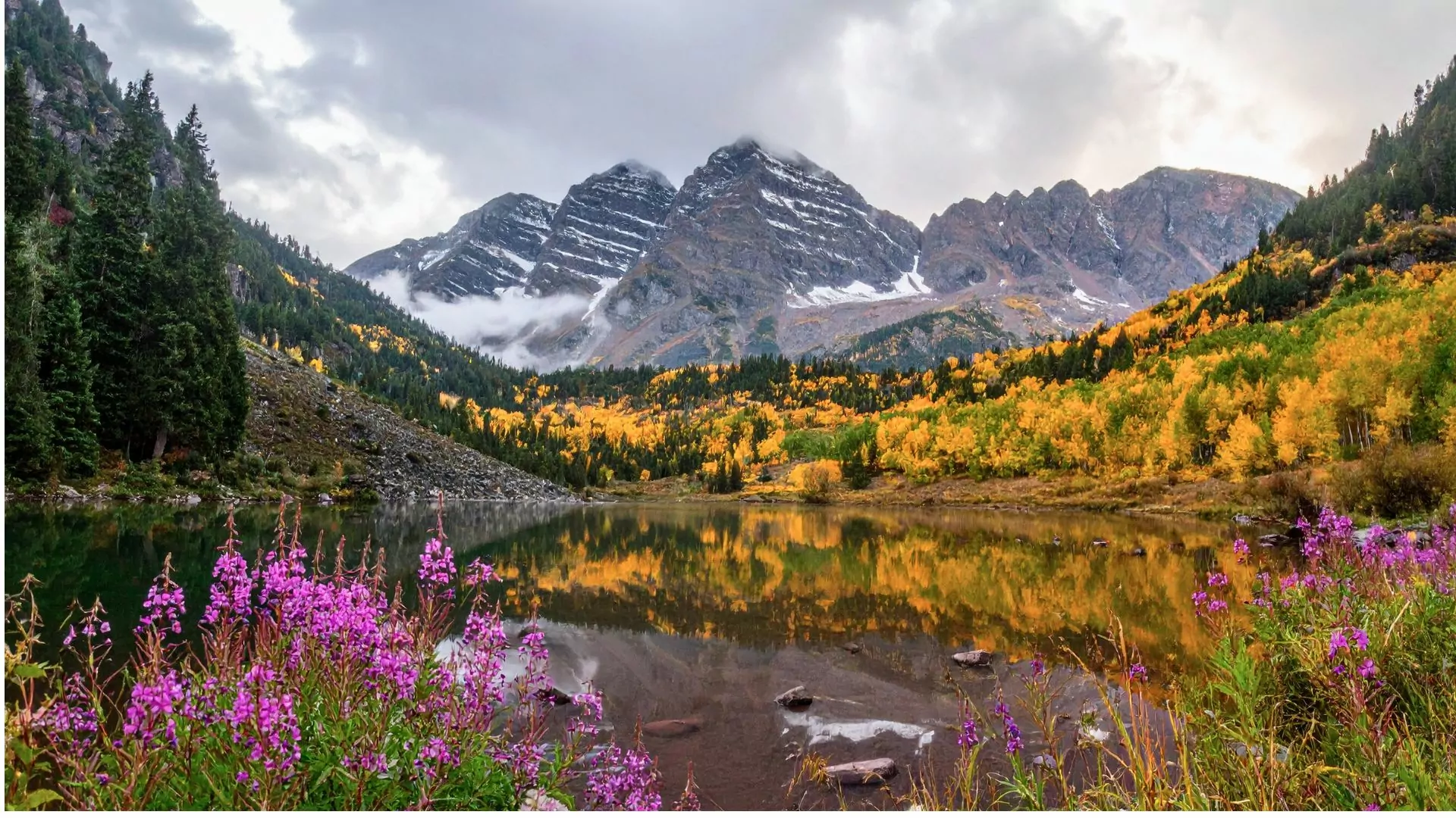 Fall colors in Colorado