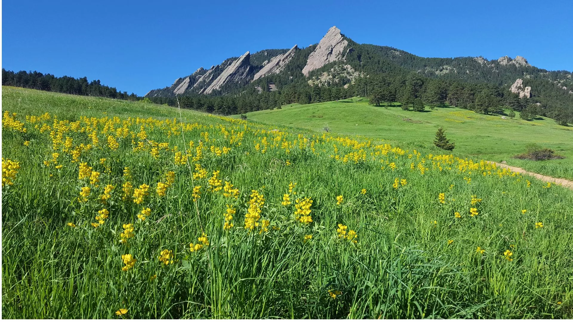 Spring in colorado