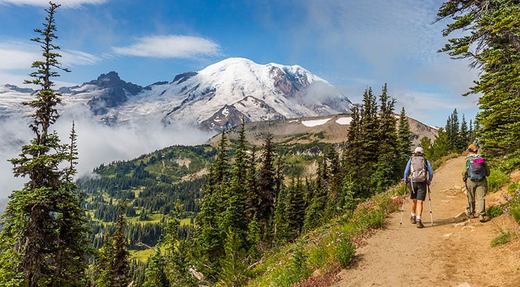 Mount Rainier Hiking Tours and Mount Rainier Backpacking Trips - Homepicpnwbasecamp