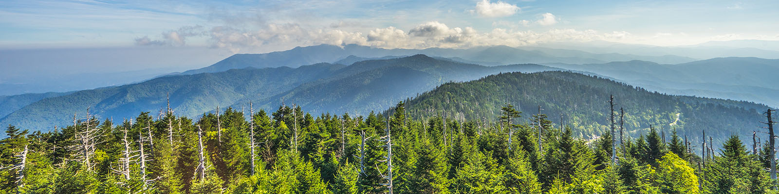 Great Smoky Mountain Hiking Tours Backpack Trips 