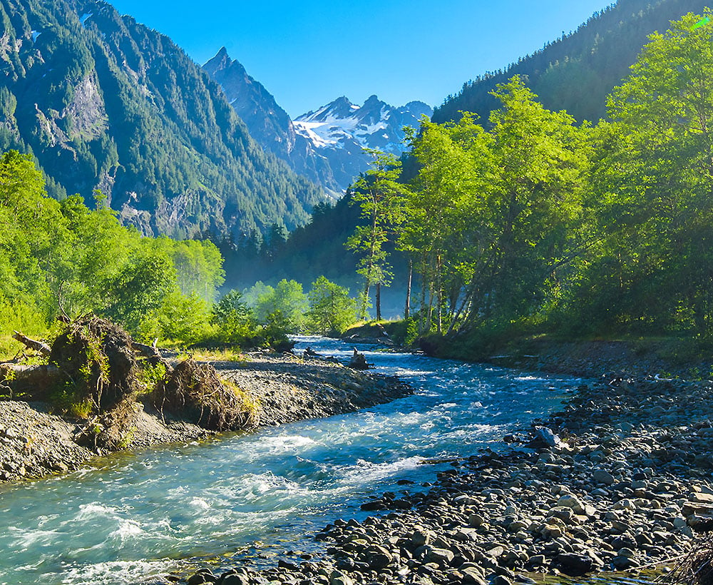 olympic national forest hikes