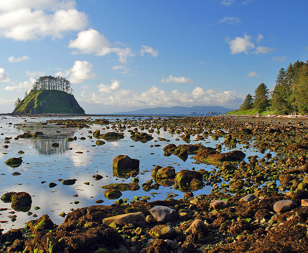 olympic national park best hikes