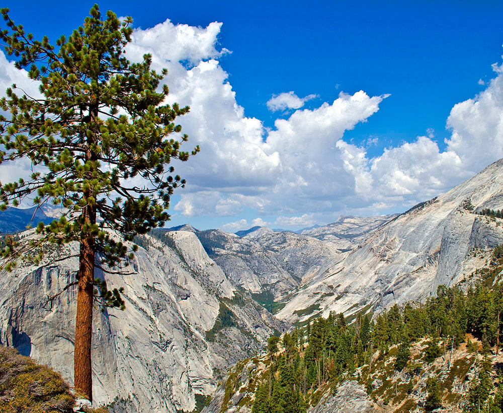 yosemite hiking tours