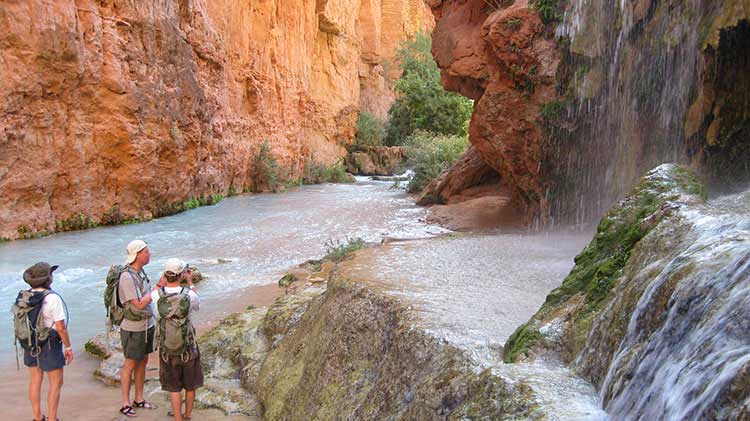 Havasu Falls Hiking Tours Wildland Trekking